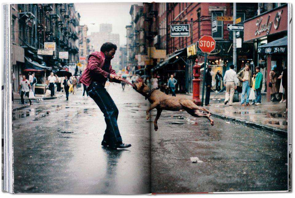 Libro Taschen New York. Portrait of a City - Bayolo Concept Store